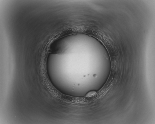 X0000116381201200912021513