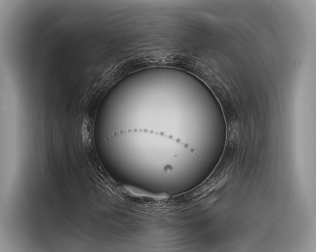 X0000116381202200912021513
