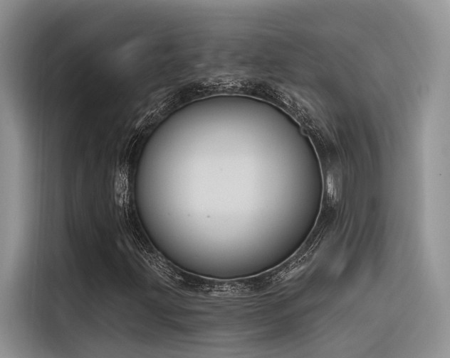 X0000116381203200912021513