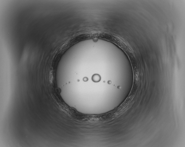 X0000116381204200912021513