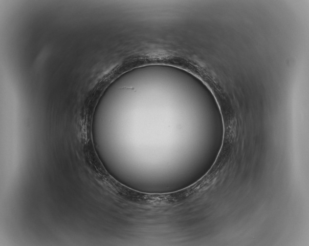 X0000116381205200912021513