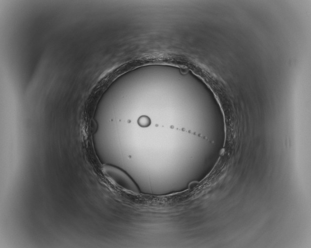 X0000116381206200912021513