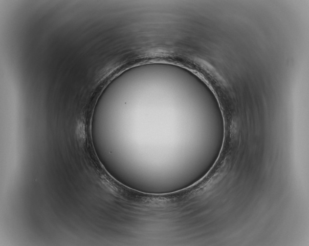 X0000116381209200912021513