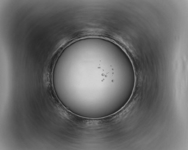 X0000116381211200912021513