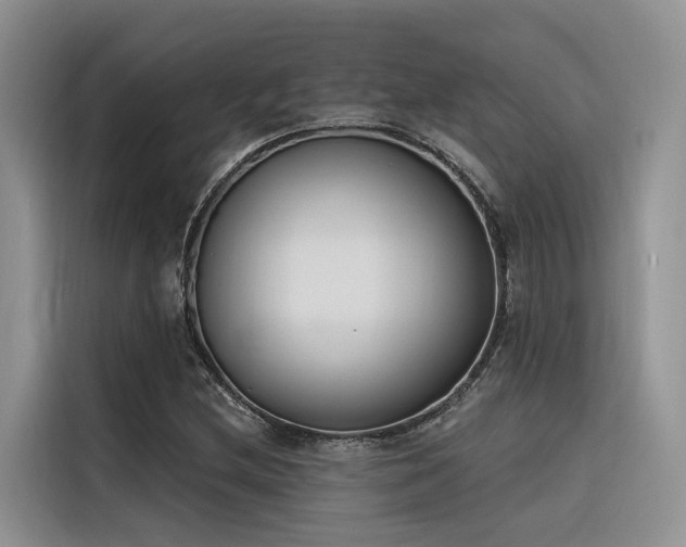 X0000116381212200912021513