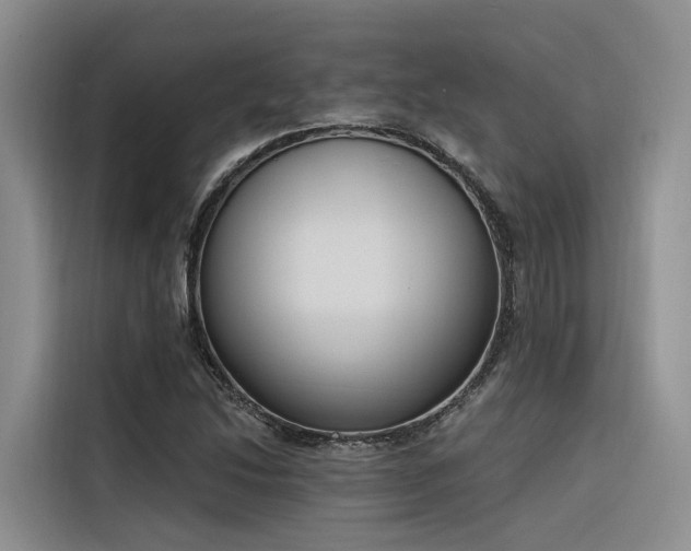 X0000116381214200912021513