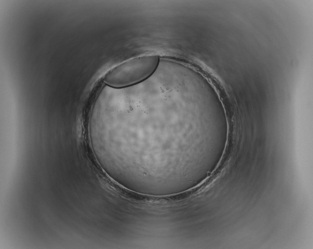 X0000116381215200912021513