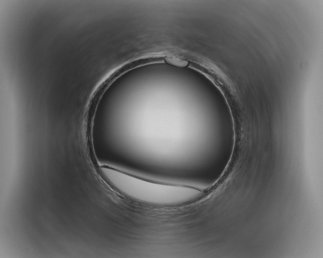 X0000116381216200912021513