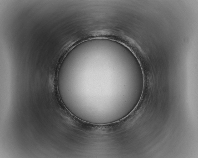 X0000116381217200912021513