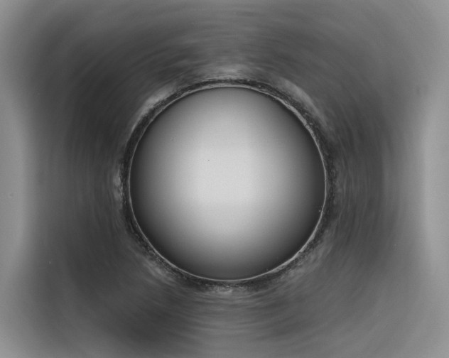 X0000116381218200912021513