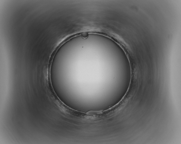 X0000116381220200912021513