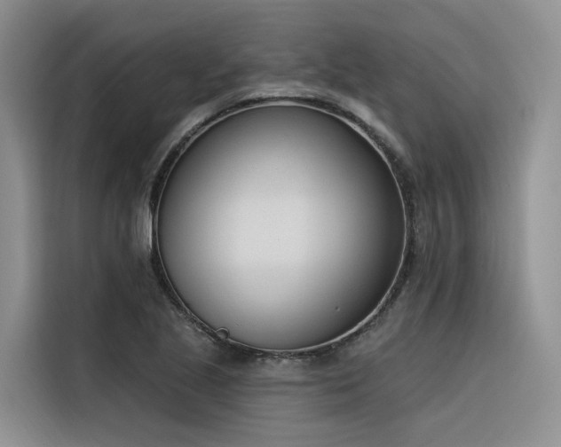 X0000116381221200912021513