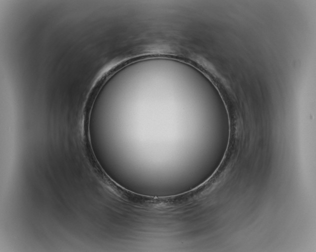 X0000116381222200912021513