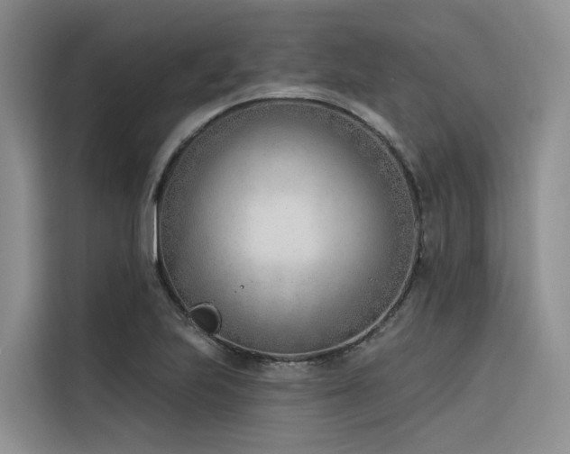 X0000116381223200912021513