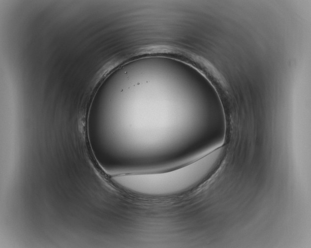 X0000116381225200912021513