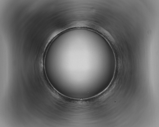 X0000116381226200912021513