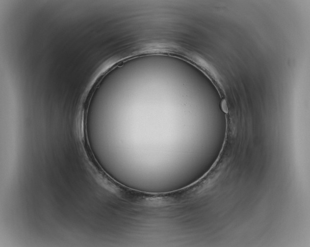 X0000116381227200912021513