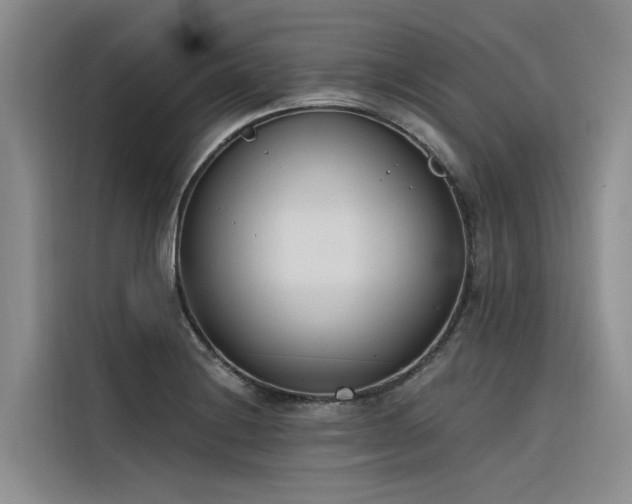 X0000116381228200912021513