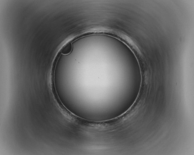 X0000116381229200912021513