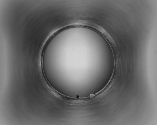 X0000116381232200912021513