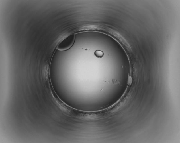 X0000116381233200912021513