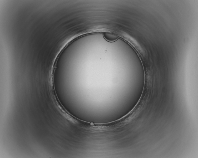 X0000116381236200912021513