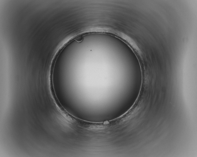 X0000116381237200912021513