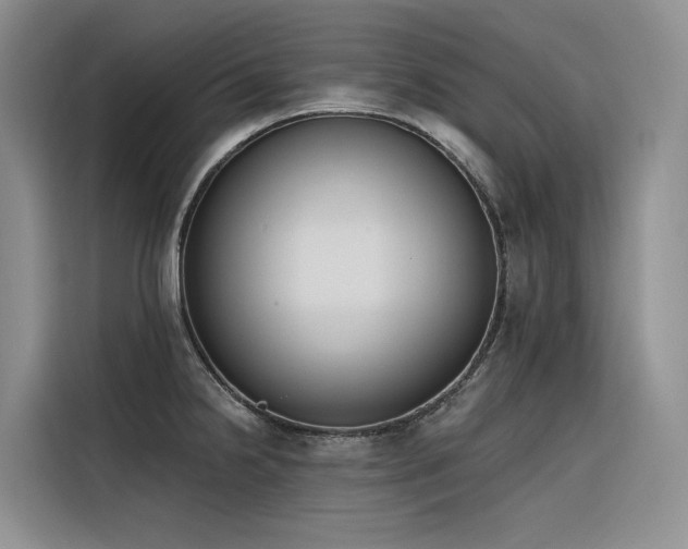X0000116381238200912021513