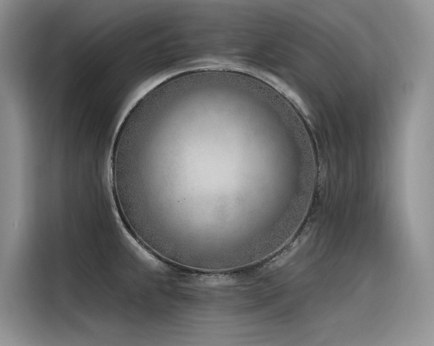 X0000116381239200912021513
