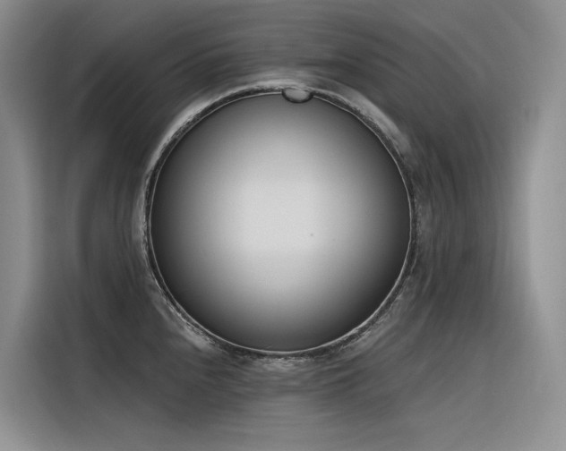 X0000116381240200912021513