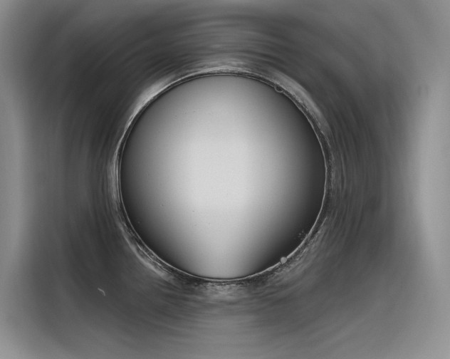 X0000116381242200912021513