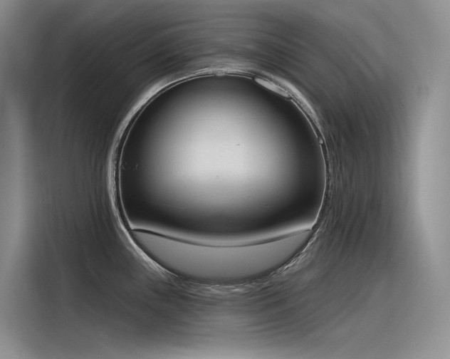 X0000116381243200912021513