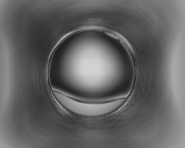 X0000116381244200912021513