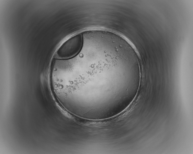 X0000116381245200912021513