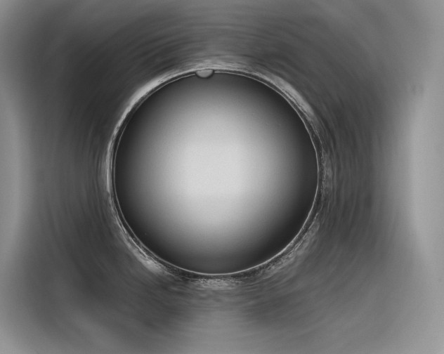 X0000116381246200912021513