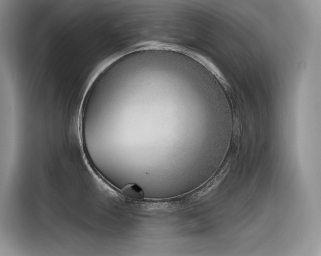 X0000116381247200912021513