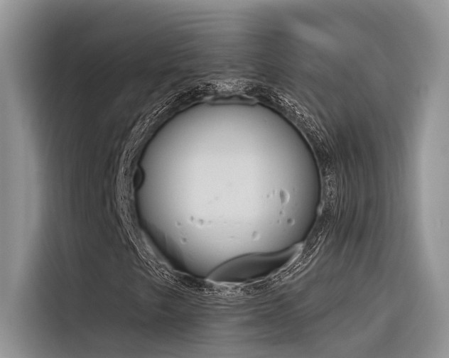 X0000116381249200912021513