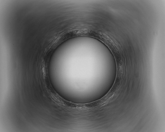 X0000116381250200912021513