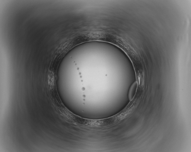 X0000116381251200912021513