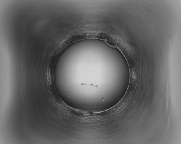 X0000116381252200912021512
