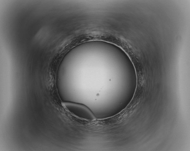 X0000116381253200912021512