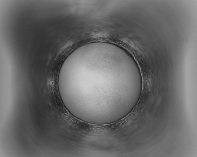 X0000116381254200912021512