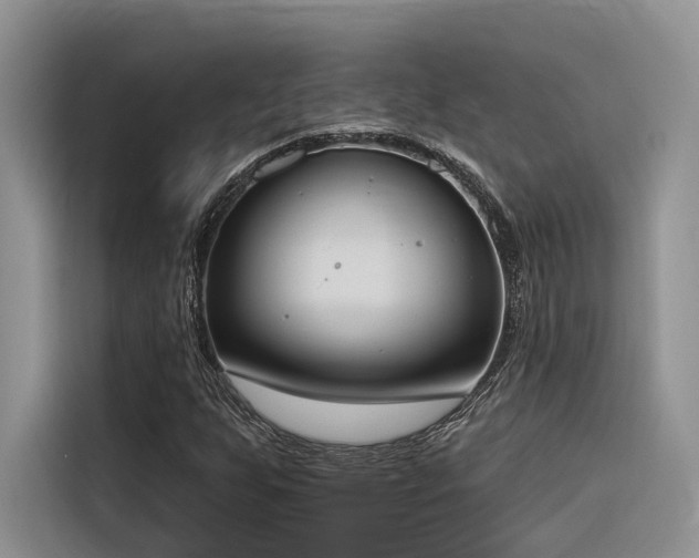X0000116381255200912021512