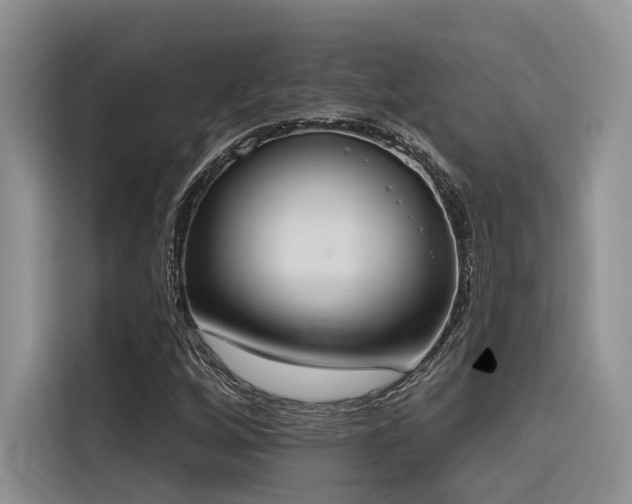 X0000116381256200912021512