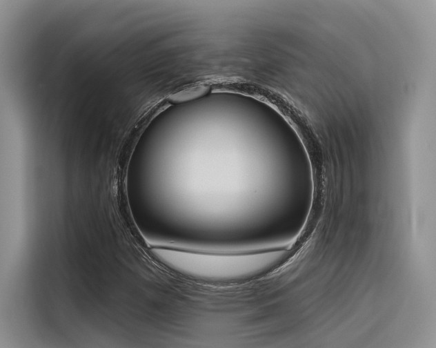 X0000116381257200912021512