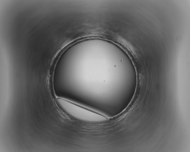 X0000116381260200912021512