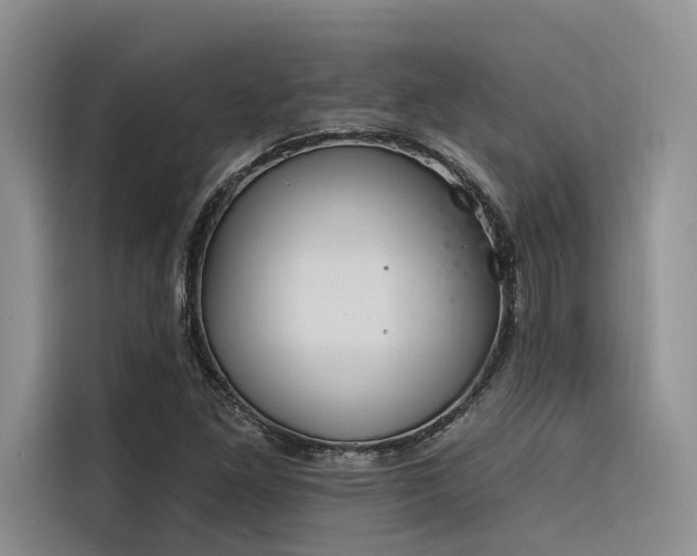 X0000116381261200912021512