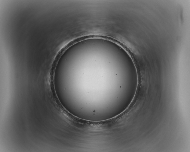 X0000116381264200912021512