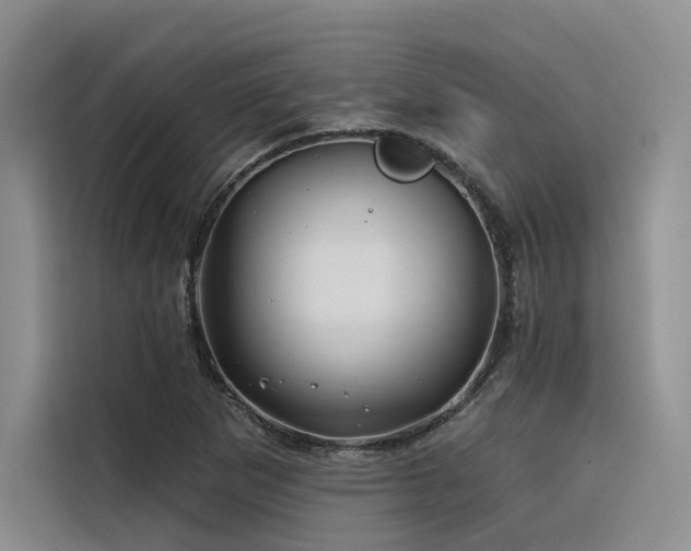 X0000116381265200912021512
