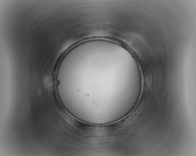 X0000116381266200912021512